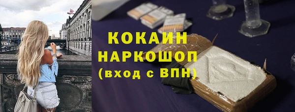 соль ск Арсеньев