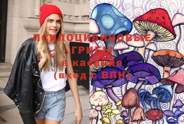 прущие крисы Армянск