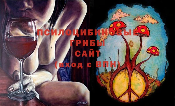 Альфа ПВП Аркадак
