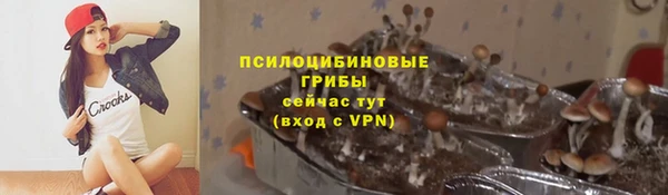 Альфа ПВП Аркадак