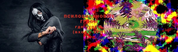 Альфа ПВП Аркадак